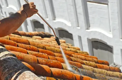 Nettoyage de toitures - Seine-Saint-Denis
